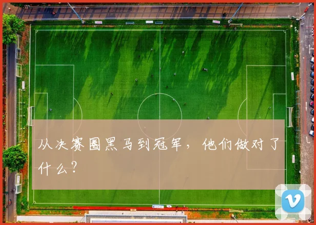 从决赛圈黑马到冠军,他们做对了什么?