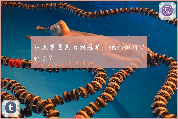从决赛圈黑马到冠军,他们做对了什么?
